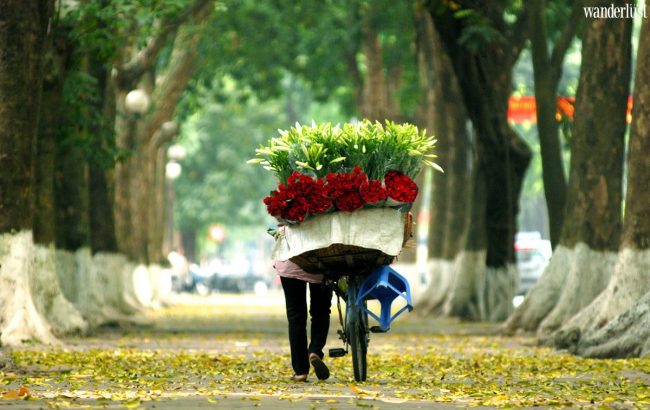 Nhớ thu Hà Nội trên những gánh hàng hoa 6 k