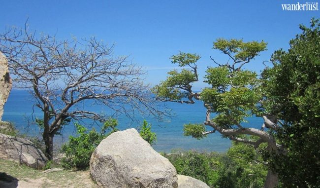 Khám phá 2 khu dự trữ sinh quyển thế giới mới của Việt Nam 6 nc 1