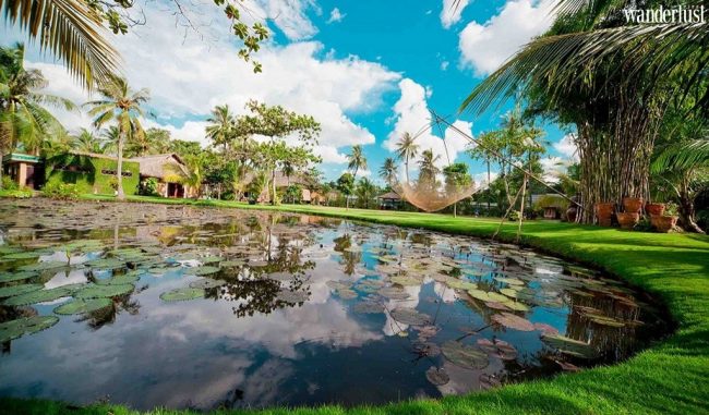 Tìm về bình yên nơi Làng xanh Bình Quới 5 Tìm về bình yên nơi Làng xanh Bình Quới - Wanderlust Tips
