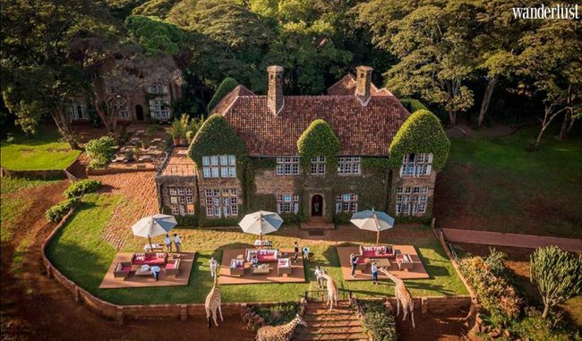 Bình minh với hươu cao cổ trong khách sạn ở Kenya - Wanderlust Tips