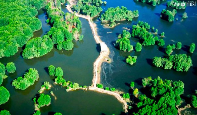 Có gì ở "ốc đảo xanh" Cần Giờ?