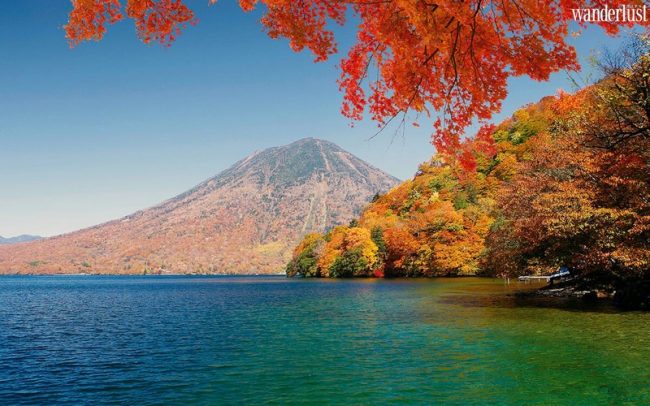 Nikko mùa lá đỏ: 6 điểm đến không thể bỏ qua 6 242497027 241891337951458 2749259413932689966 n