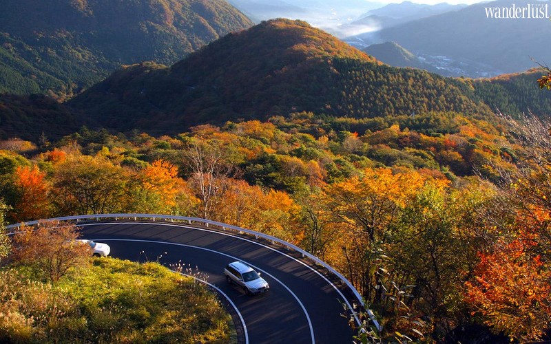 Nikko mùa lá đỏ: 6 điểm đến không thể bỏ qua 10 Tạp chí du lịch Wadrlust Tips | Đến NIKKO mùa lá đỏ