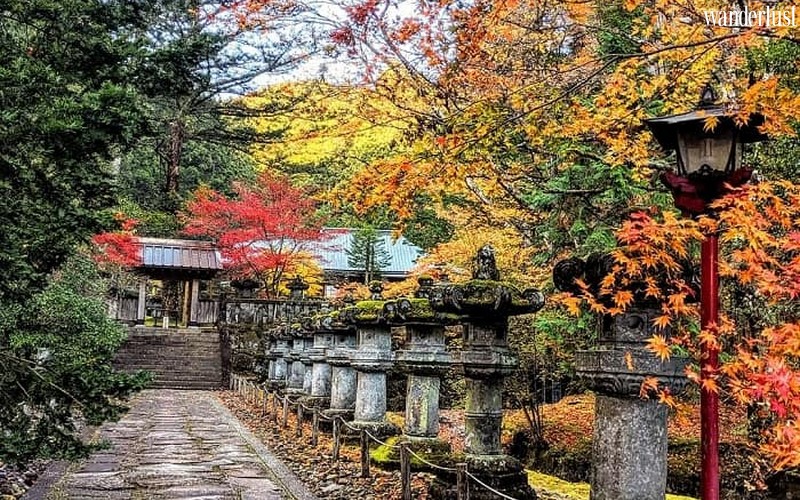 Nikko mùa lá đỏ: 6 điểm đến không thể bỏ qua 5 kinh nghiem du lich nikko 2 min