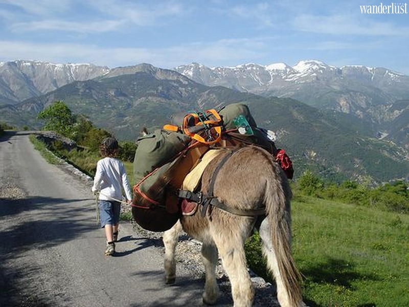 Tạp chí du lịch Wanderlust Tips | 4 đảo ngọc du lịch sinh thái tiềm ẩn của Đức