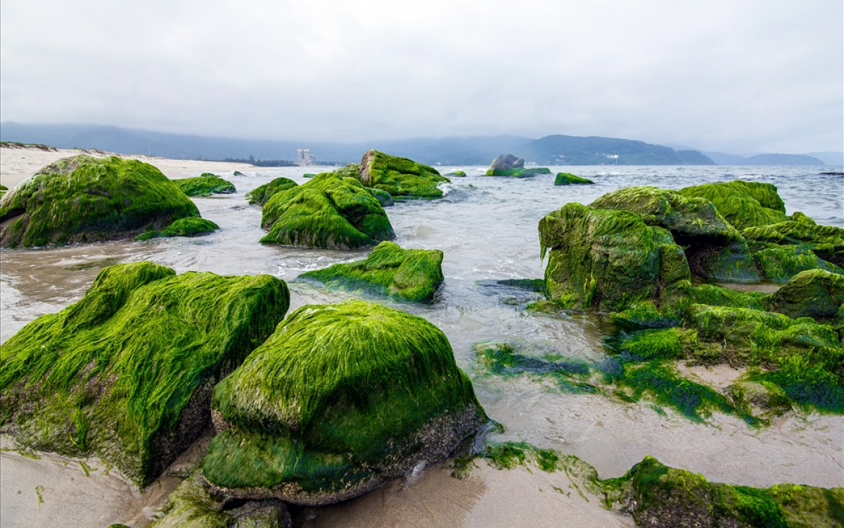 Tap chí du lịch Wanderlust Tips | Rạn Nam Ô: hòn ngọc xanh của Đà Nẵng