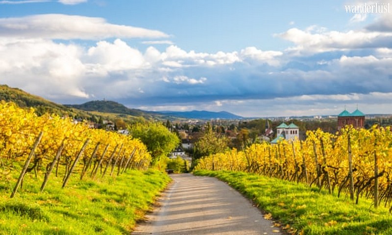 'Khu bảo tồn sao' và những hòn đảo cấm xe hơi: 4 đảo ngọc du lịch sinh thái tiềm ẩn của Đức 5 Tạp chí du lịch Wanderlust Tips | 4 đảo ngọc du lịch sinh thái tiềm ẩn của Đức