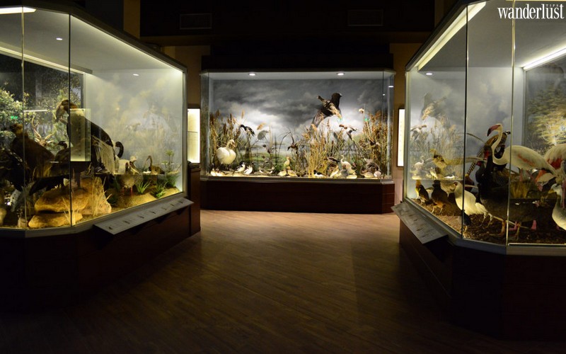 10 điều nhất định phải thử qua khi đến Meteora, Hy Lạp 9 Tạp chí du lịch Wanderlust Tips | 10 điều nhất định phải thử qua khi đến Meteora, Hy Lạp