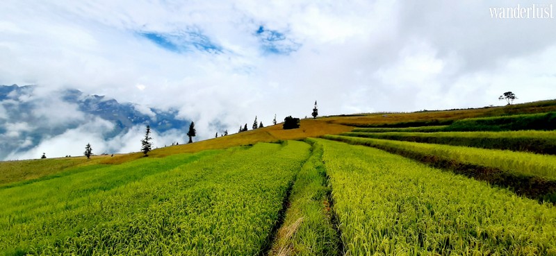 Tạp chí du lịch Wanderlust Tips | Vẻ đẹp hoang sơ hùng vĩ của thảo nguyên Suôi Thầu