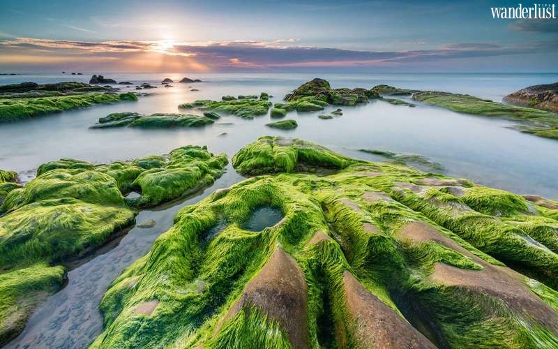 Tap chí du lịch Wanderlust Tips | Rạn Nam Ô: hòn ngọc xanh của Đà Nẵng