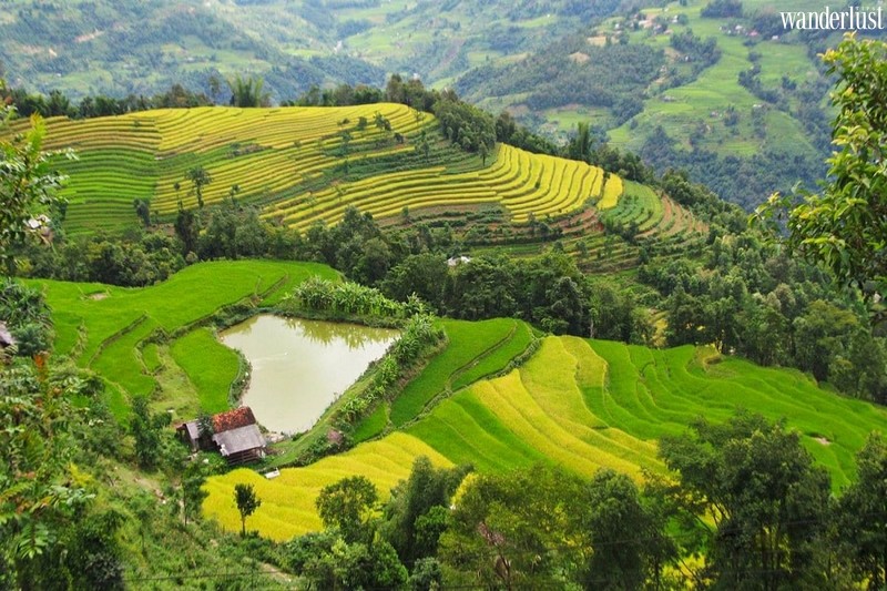 Vẻ đẹp hoang sơ hùng vĩ của thảo nguyên Suôi Thầu 6 Tạp chí du lịch Wanderlust Tips | Vẻ đẹp hoang sơ hùng vĩ của thảo nguyên Suôi Thầu