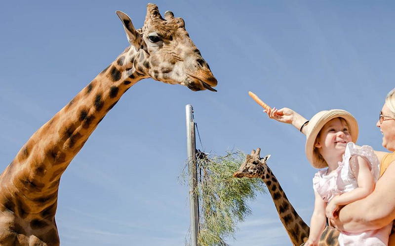 3 địa điểm du lịch thích hợp cho gia đình có trẻ nhỏ ở Chiang Rai, Thái Lan