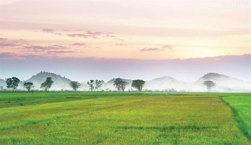 Hồ Đạ Tẻh, Lâm Đồng: Thanh bình bất tận với những cánh rừng nhiệt đới nguyên sinh 6 Tạp chí du lịch Wanderlust Tips | Sự thanh bình của Hồ Đạ Tẻh, Lâm Đồng