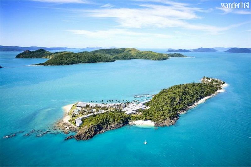 Hồi sinh Rạn san hô Great Barrier 8 Tạp chí du lịch Wanderlust Tips | Hồi sinh Rạn san hô Great Barrier