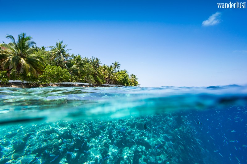 Những địa điểm lý tưởng nhất cho kỳ nghỉ lễ tháng 1 14 Tạp chí du lịch Wanderlust Tips | Những địa điểm lý tưởng nhất cho kỳ nghỉ lễ tháng 1