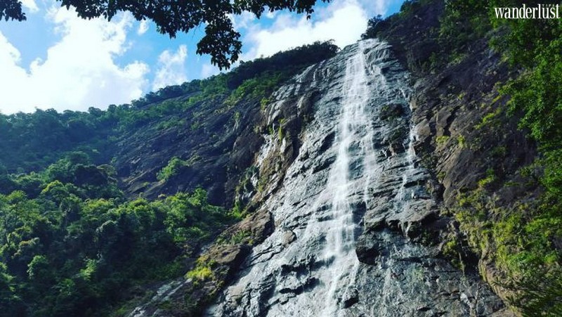 Khám phá Vườn quốc gia Bạch Mã: Điểm đến bất ngờ ở xứ Huế: 14 Tạp chí du lịch Wanderlust Tips | Chuyến phiêu lưu bất ngờ ở xứ Huế: Khám phá Vườn quốc gia Bạch Mã