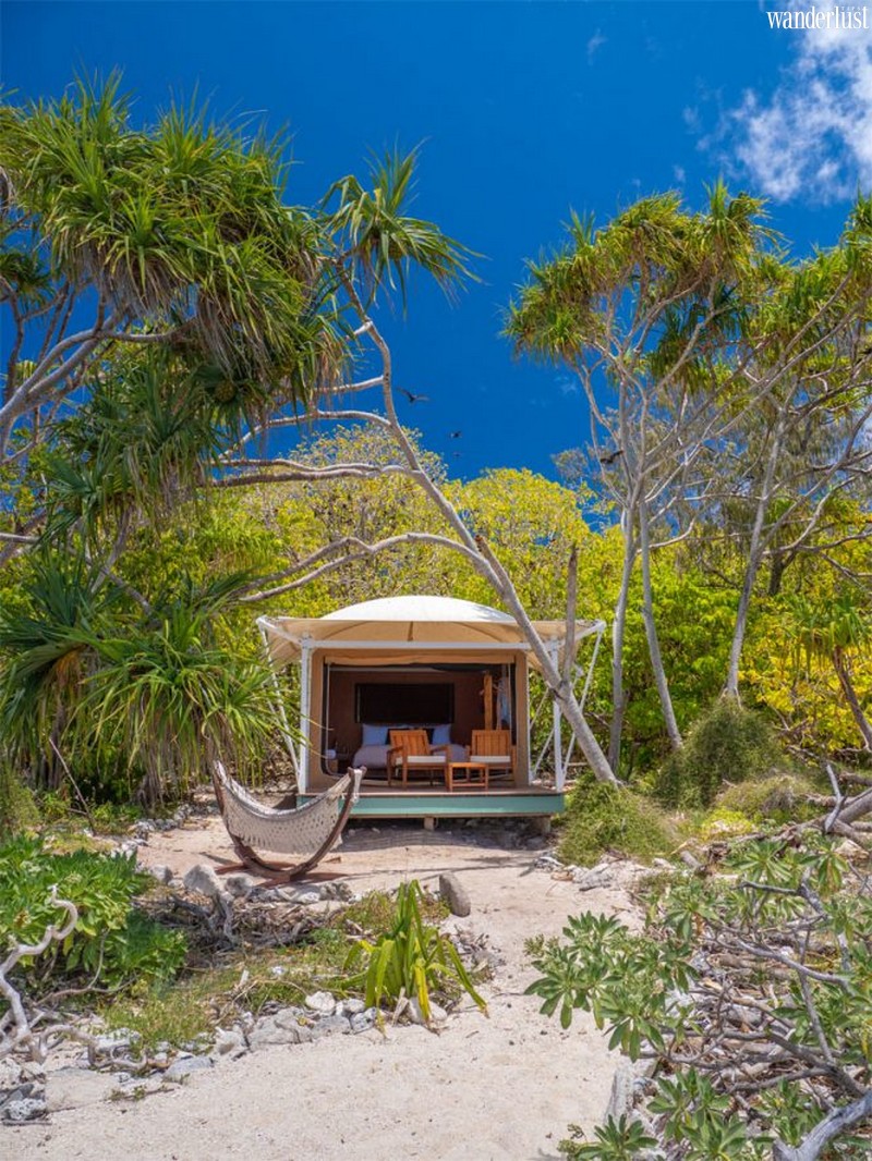 Hồi sinh Rạn san hô Great Barrier 9 Tạp chí du lịch Wanderlust Tips | Hồi sinh Rạn san hô Great Barrier