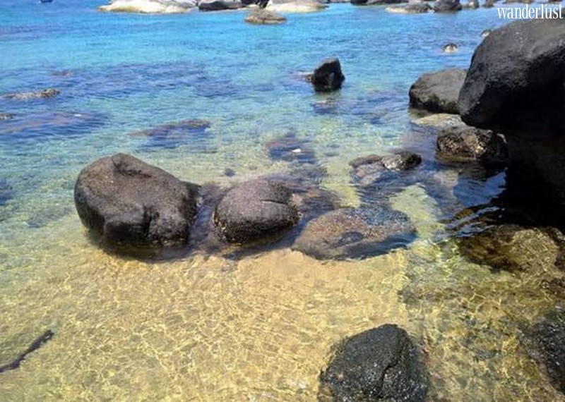 Mũi Vi Rồng: Vẻ đẹp hoang sơ của vùng đất Bình Định 11 Tạp chí du lịch Wanderlust Tips | Mũi Vi Rồng: Vẻ đẹp hoang sơ của vùng đất Bình Định