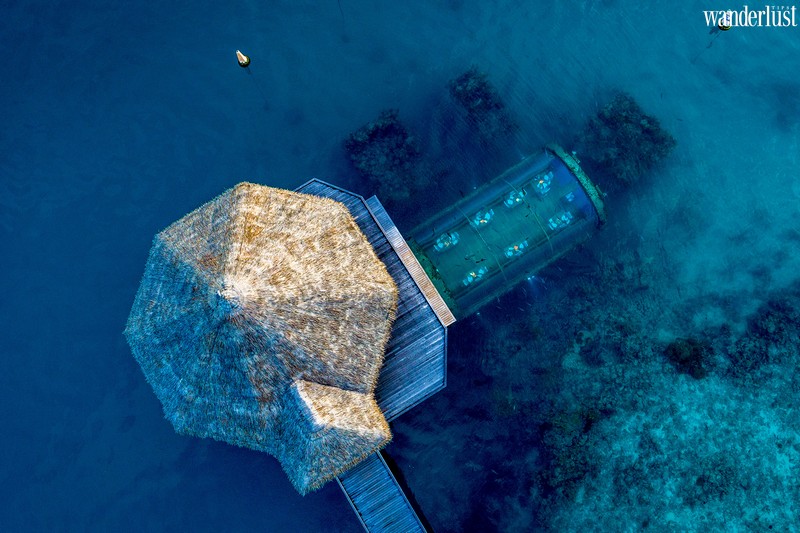 Kỳ nghỉ Lễ Tạ ơn trị giá 125.000 USD trong biệt thự dưới nước ở Maldives 5 Tạp chí du lịch Wanderlust Tips | Mừng Lễ Tạ ơn trong Biệt thự dưới nước trị giá 125.000 USD ở Maldives