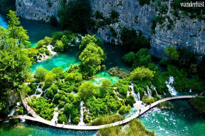 Khám phá Vườn quốc gia Bạch Mã: Điểm đến bất ngờ ở xứ Huế: 11 Tạp chí du lịch Wanderlust Tips | Chuyến phiêu lưu bất ngờ ở xứ Huế: Khám phá Vườn quốc gia Bạch Mã