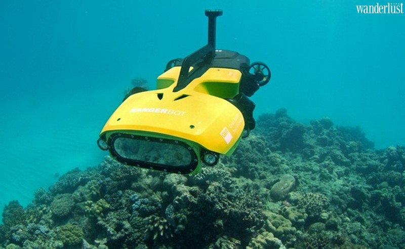 Hồi sinh Rạn san hô Great Barrier 7 Tạp chí du lịch Wanderlust Tips | Hồi sinh Rạn san hô Great Barrier