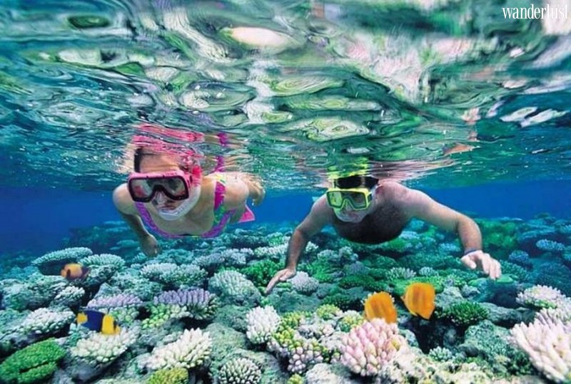 Rạn Nam Ô: Hòn ngọc xanh của Đà Nẵng 9 Tap chí du lịch Wanderlust Tips | Rạn Nam Ô: hòn ngọc xanh của Đà Nẵng