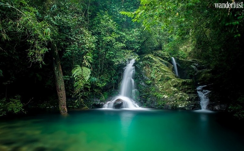 Tạp chí du lịch Wanderlust Tips | Chuyến phiêu lưu bất ngờ ở xứ Huế: Khám phá Vườn quốc gia Bạch Mã