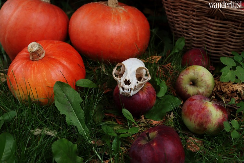 Hậu Halloween: Bạn đã biết về 5 lễ hội ma quỷ khác trên thế giới? 6 Tạp chí du lịch Wanderlust Tips | Hậu Halloween: Bạn đã biết về 5 lễ hội ma quỷ khác trên thế giới?