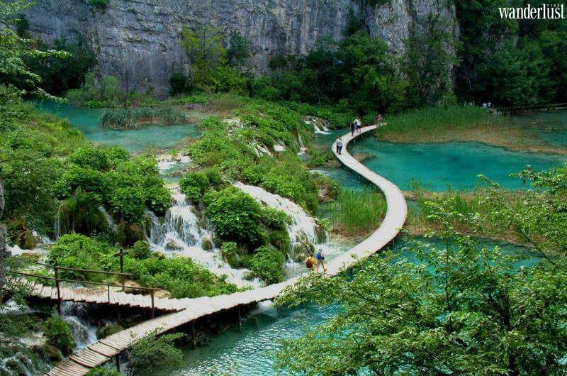 Khám phá Vườn quốc gia Bạch Mã: Điểm đến bất ngờ ở xứ Huế: 6 Tạp chí du lịch Wanderlust Tips | Chuyến phiêu lưu bất ngờ ở xứ Huế: Khám phá Vườn quốc gia Bạch Mã