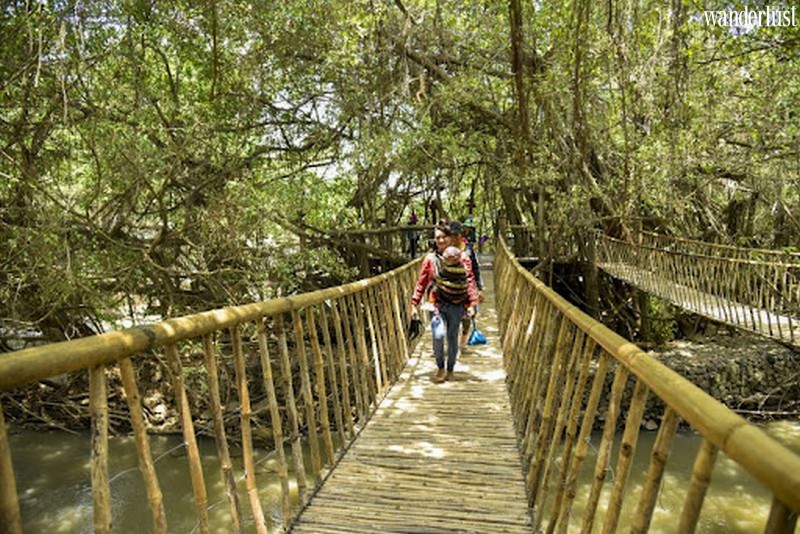 Cẩm nang du lịch miền đất tây nguyên Buôn Ma Thuột 16 Tạp chí du lịch Wanderlust TIps | Cẩm nang du lịch miền đất tây nguyên Buôn Ma Thuột