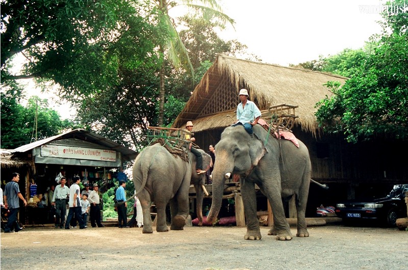 Cẩm nang du lịch miền đất tây nguyên Buôn Ma Thuột 5 Tạp chí du lịch Wanderlust TIps | Cẩm nang du lịch miền đất tây nguyên Buôn Ma Thuột