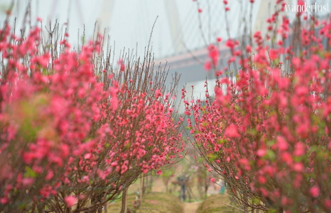 6 địa điểm chụp Áo dài chuẩn mood Hà Nội xưa 11 Wanderlust Tips 6 dia diem chup anh Ao dai dep nen tho tai Ha Noi 8