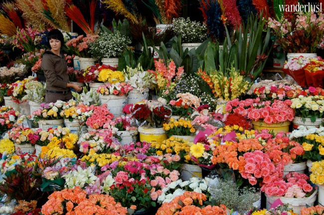 Chợ hoa Tết: Hoài niệm năm xưa, đón chào năm mới 12 Wanderlust Tips Cho hoa Tet 13