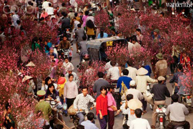 Chợ hoa Tết: Hoài niệm năm xưa, đón chào năm mới 6 Wanderlust Tips - Chợ hoa Tết