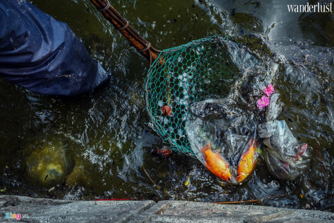 Phóng sinh cá chép sao cho đúng với quan niệm xưa 8 Wanderlust Tips - Phóng sinh cá chép sao cho đúng với quan niệm xưa