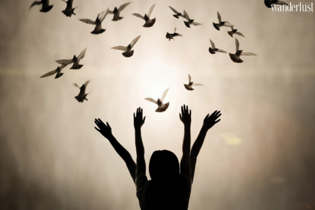 Phóng sinh cá chép sao cho đúng với quan niệm xưa 6 Wanderlust Tips - Phóng sinh cá chép sao cho đúng với quan niệm xưa