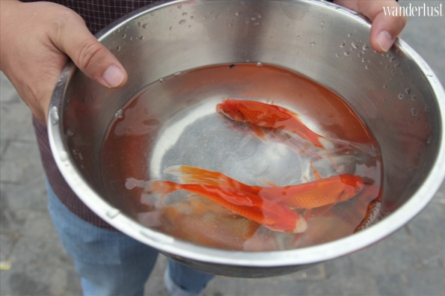 8 điều nên và không nên khi cúng Ông Công Ông Táo 6 Tạp chí Du lịch Wanderlust Tips-8 điều nên và không nên khi cúng Ông Công Ông Táo