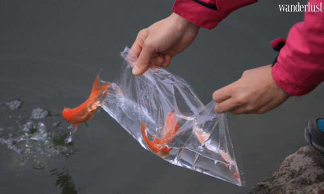 8 điều nên và không nên khi cúng Ông Công Ông Táo 10 Tap chi Du lich Wanderlust Tips Nhung dieu nen va khong nen khi lam le cung ong cong ong tao 4 1