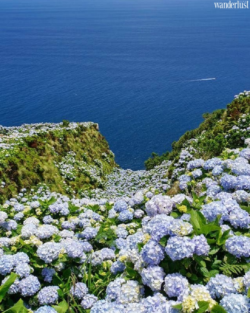 Danh sách 10 thành phố hiếu khách nhất thế giới năm 2022, Hội An vinh dự lọt top 11 danh sach 10 thanh pho hieu khach nhat the gioi nam 2022 20