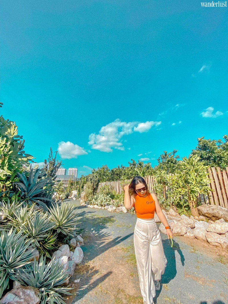 Cacti Zone, lạc vào ốc đảo xương rồng ảo diệu ven đô Hà Nội | Wanderlust Tips 