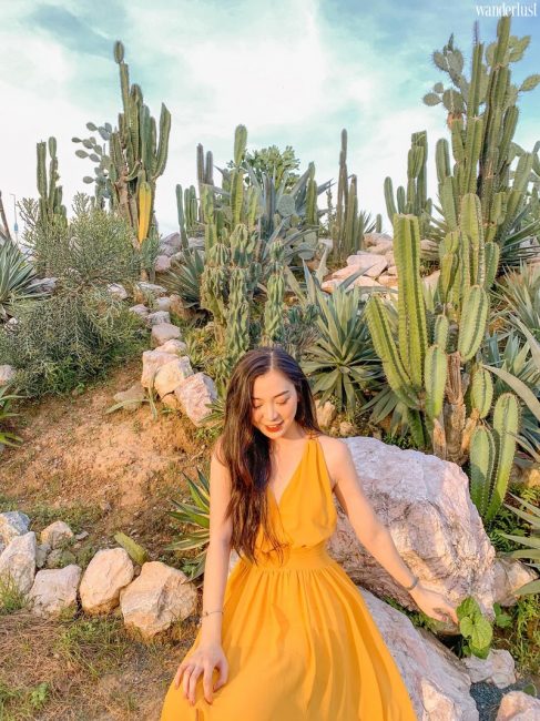 Cacti zone lac vao oc dao xuong rong ao dieu ven do ha noi 17