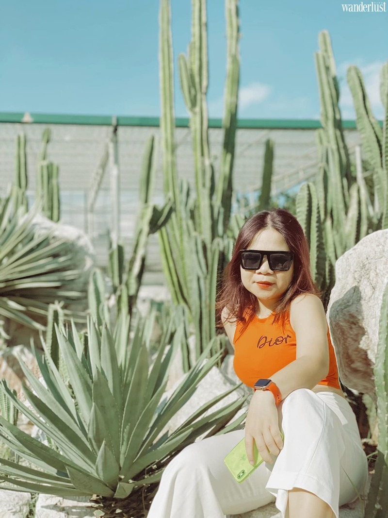 Cacti Zone, lạc vào ốc đảo xương rồng ảo diệu ven đô Hà Nội | Wanderlust Tips 