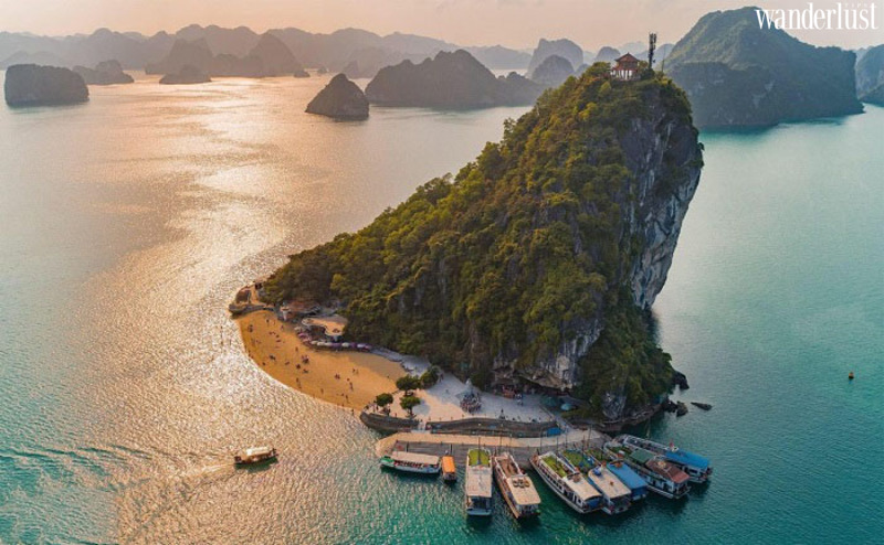 Đảo Titop, hòn ngọc xanh giữa vịnh Hạ Long 8 Đảo Titop, hòn ngọc xanh giữa vịnh Hạ Long | Wanderlust Tips