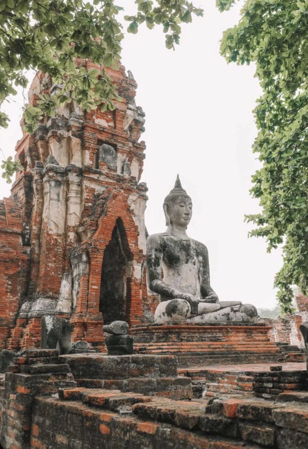 Cần chuẩn bị những gì khi du lịch Thái Lan tự túc trong thời kỳ bình thường mới? 6 EtneRKjU0AIFuL3