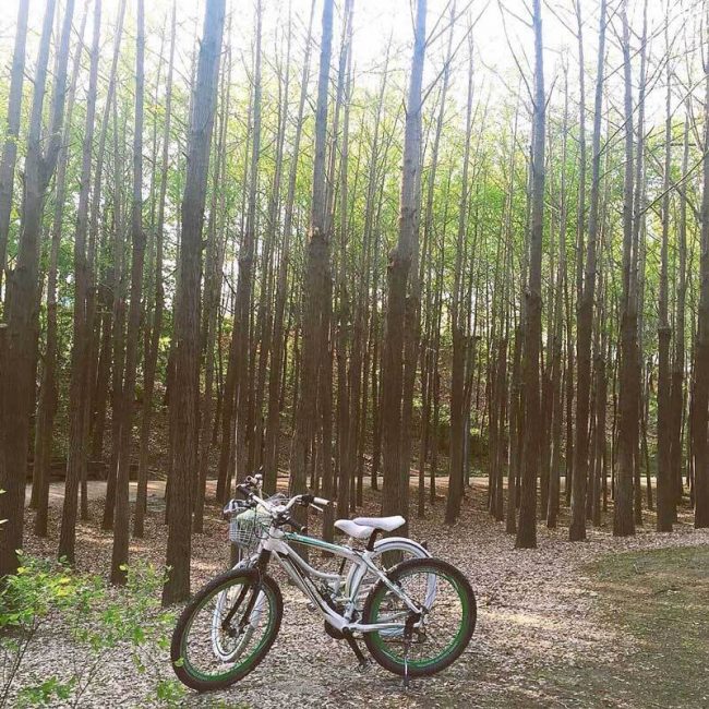 Ho coc thien duong song ao giua long vung tau 8