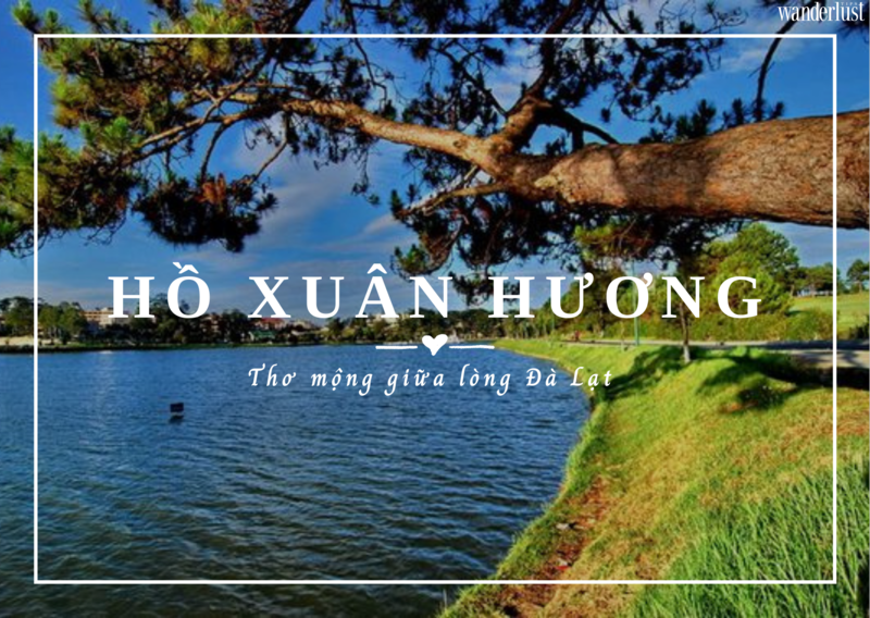 Hồ Xuân Hương thơ mộng giữa lòng Đà Lạt 11 Hồ Xuân Hương thơ mộng giữa lòng Đà Lạt | Wanderlust Tips