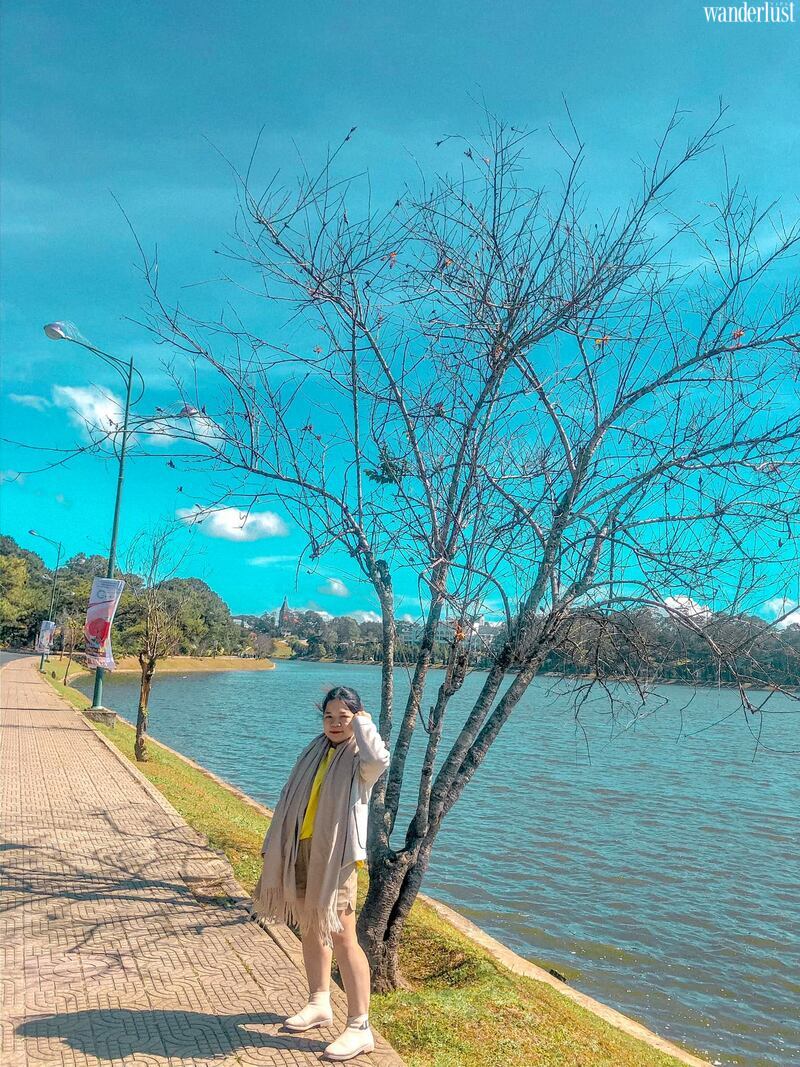 Hồ Xuân Hương thơ mộng giữa lòng Đà Lạt 8 Hồ Xuân Hương thơ mộng giữa lòng Đà Lạt | Wanderlust Tips