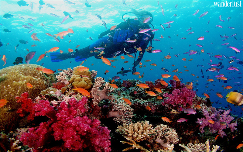 Hòn Tằm Nha Trang, vẻ đẹp lãng mạn giữa đại dương xanh | Wanderlust Tips 