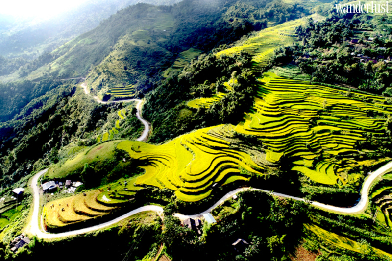 Hồng Thái đẹp dịu dàng mùa hoa lê trắng | Wanderlust Tips