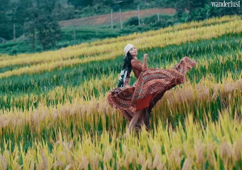 Hồng Thái đẹp dịu dàng mùa hoa lê trắng | Wanderlust Tips